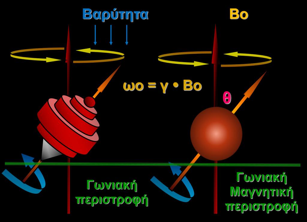 Η συχνότητα της μεταπτωτικής αυτής γωνιακής περιστροφής γύρω από τον άξονα + Ζ είναι χαρακτηριστική για κάθε πυρήνα και καλείται συχνότητα Larmor.