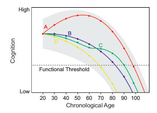 Το θεωρητικό πλαίσιο Περιοχή A Περιοχή Β Figure 1. Differential cognitive decline trajectories over the life span and the threshold of functional loss.
