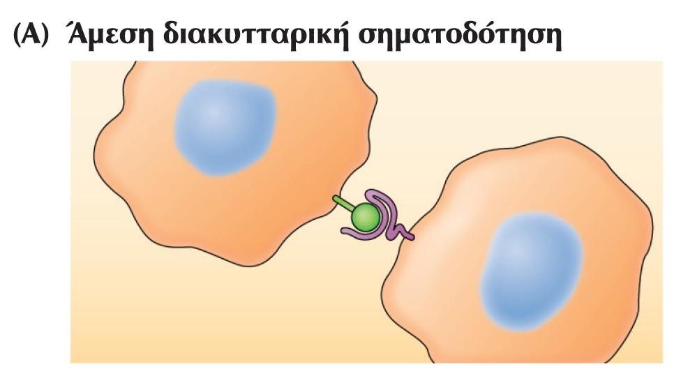 Μηχανισμοί διακυτταρικής σηματοδότησης.