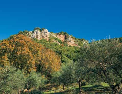 Impressive vertical rocks and wild vegetation at the deserted Kritsi settlement.