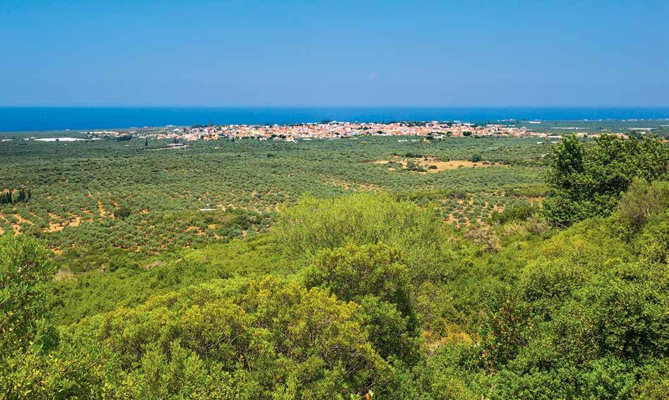 Προς νότο, μέχρι τα Φιλιατρά Ο κάμπος γύρω από τα Φιλιατρά είναι κατάφυτος με ελαιόδεντρα, καλλιέργειες κηπευτικών και φυτείες από ροδιές και κυδωνιές.