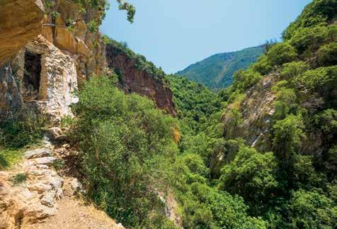 Έχοντας μόλις γεννήσει το Δία, στο όρος Λύκαιον, και φοβούμενη πως θα έχει την ίδια τραγική μοίρα, να φαγωθεί δηλαδή από τον πατέρα του τον Κρόνο, η Ρέα παρέδωσε το βρέφος στη Νύμφη Νέδα, η divided