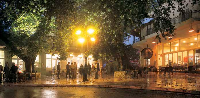 και μετά από εκατό μέτρα περίπου, παρκάρετε το αυτοκίνητο και περπατάτε, για πενήντα μέτρα, κατά μήκος ενός ωραίου ελαιώνα, ώσπου να φτάσετε στο άκρο του, εκεί που ξεκινά η άγρια βλάστηση.