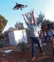πολλές άλλες περιοχές της Πελοποννήσου.