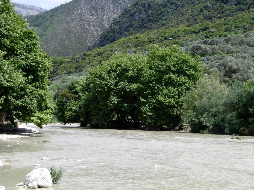 92C0:Δάση πλατάνου της Ανατολής