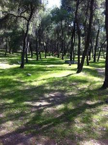 Χώρος Παιχνιδιού και Σκηνών Χρόνος κατασκήνωσης Η κατασκήνωση θα διαρκέσει 7 ημέρες, από την 23 η Ιουλίου έως