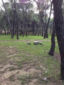 Θα αναχωρήσουμε το πρωί της 23 ης Ιουλίου από το βαγόνι μας (για την ακριβή ώρα αναχώρησης θα ενημερωθείτε από