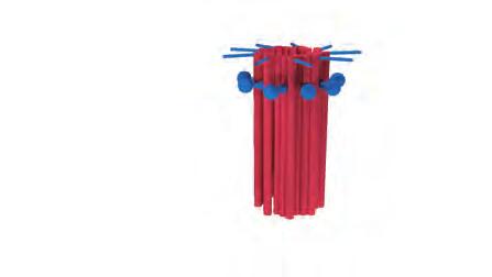 1. ΕΙΣΑΓΩΓΗ A Θυγατρικό κεντριόλιο Distal end Μητρικό κεντριόλιο G1-G2 tether Proximal end B Γ Εικόνα 1.3 Δοµή κεντροσωµατίου.