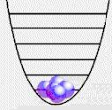 Bosonii Statistica Bose-Einstein determină distribuţiile statistice ale particulelor identice de spin întreg (0, 1, 2, 3,.