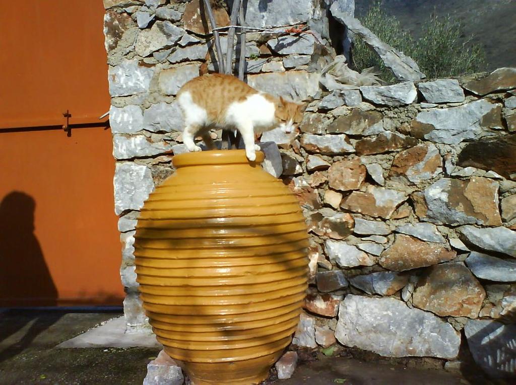 Δικόνα 57