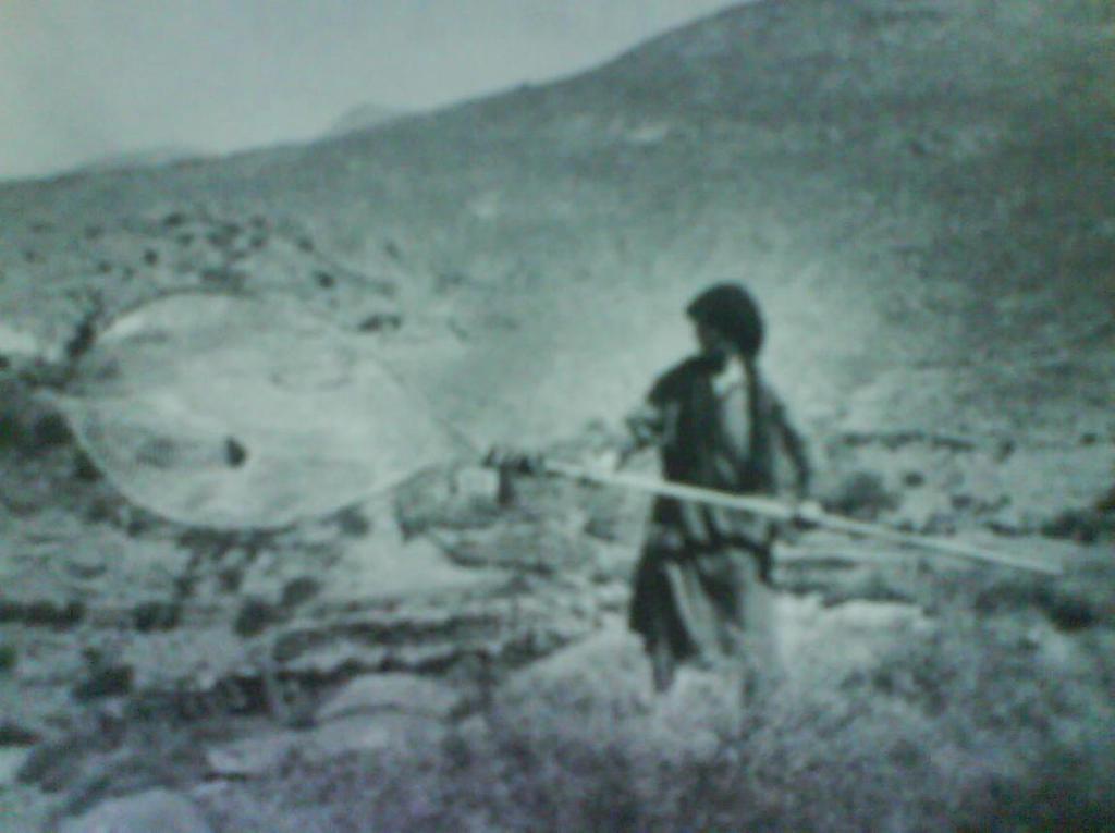 Δικόνα 24 -