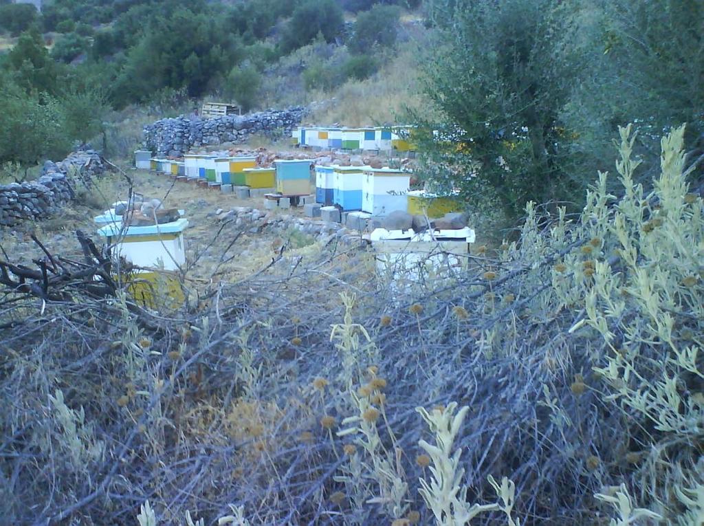 ΜΠΑΡΓΟΝΗΧΣΗΚΟ