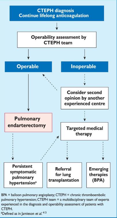 CTEPH 2014 ESC Guidelines on the diagnosis and management of acute pulmonary