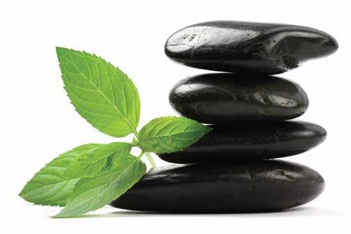 ΧΕΡΙΑ & ΠΟ ΙΑ ΑΠΟΤΡΙΧΩΣΕΙΣ Μόνο Βάψιµο Spa Manicure Spa Pedicure Ηµιµόνιµο _ 10 _ 25 _ 30 _ 35 Φρύδια (τσιµπιδάκι) Μουστάκι Μπικίνι Μισό Πόδι Ολόκληρο Ποδί _ 5