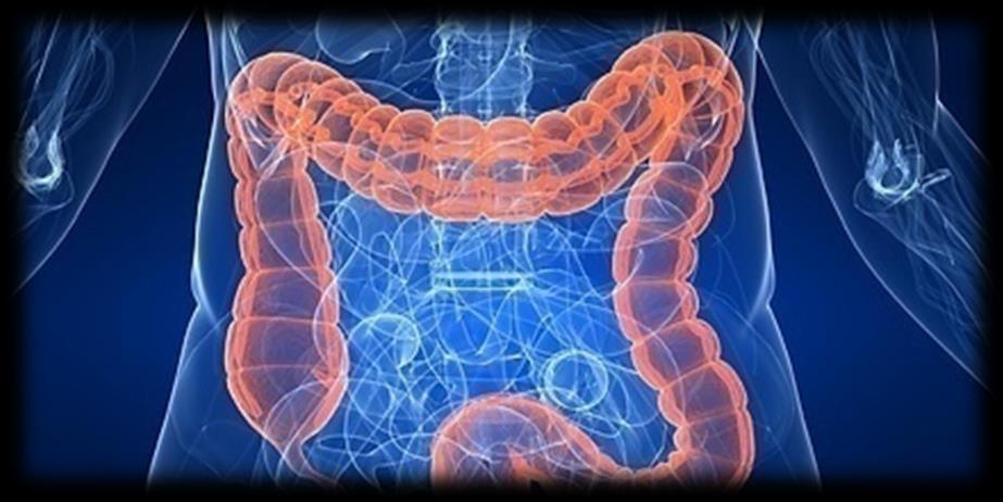 Gastrointestinalna mikrobiota Sastoji se iz više bakterijskih vrsta i ogromnog broja sojeva Najmanje 57