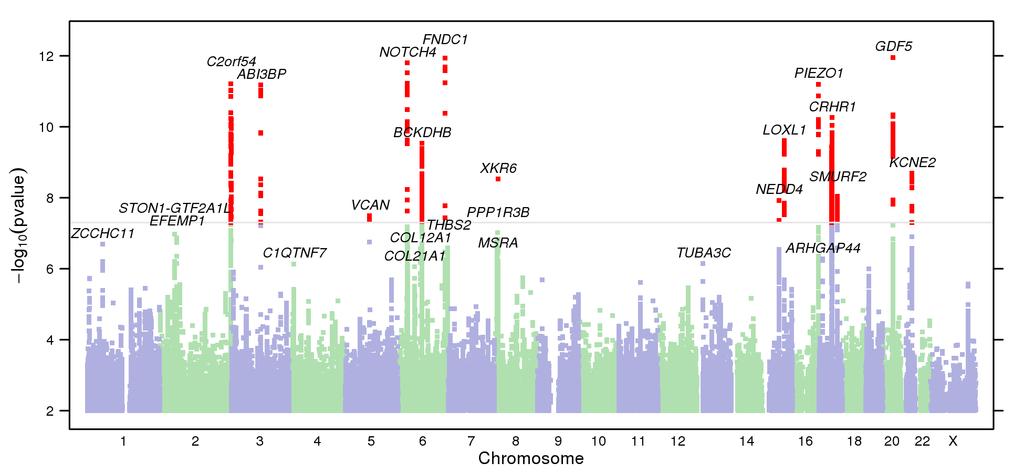 Q Q Plot of GWAS Results Index SNPs for Strongest Associations cytoband assay.name scaffold position alleles src pvalue effect 95% CI gene.context 20q11.22 rs143384 chr20 34025756 A/G I 1.1 10 12 0.