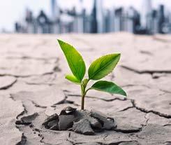 التربة 4 مقدمة المحاور األساسية العوامل المحركة تشمل العوامل المحركة لتدهور األراضي في إمارة أبوظبي تعرية التربة بفعل الرياح تملح التربة تشبع التربة بالمياه فقدان المساحات الخضراء والتوسع في األنشطة