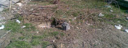 mare parte terenul se prezinta ca o suprafata betonata, terenul fiind