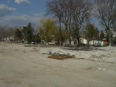 eversmani) o forma asiatica intalnita la noi in Dobrogea; dihorul patat de stepa (Vormela pereguana),