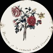 ΘΑΥΜΑΤΡΟΠΙΟ, 1825 Ένας δίσκος με μια εικόνα σε κάθε πλευρά συνδέεται με δύο