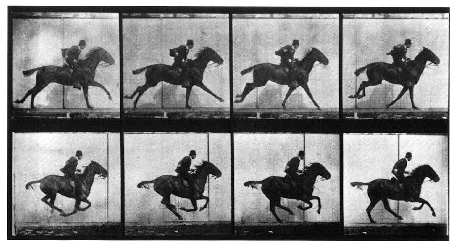ΧΡΗΣΗ ΦΩΤΟΓΡΑΦΙΚΩΝ ΛΗΨΕΩΝ, 1878 Με τη μεθόδο διαδοχικής φωτογράφισης, απεικόνιζεται η κίνηση ενός