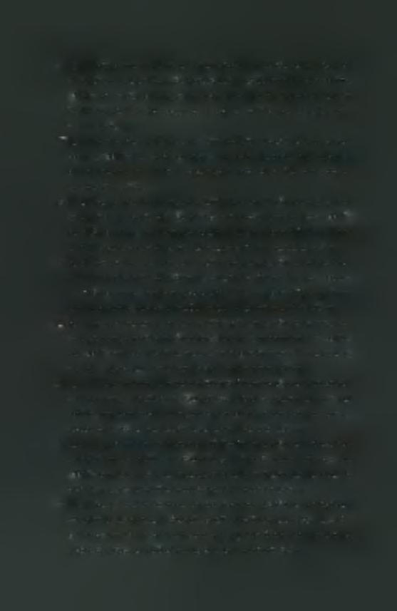 13 15. Ηλι?