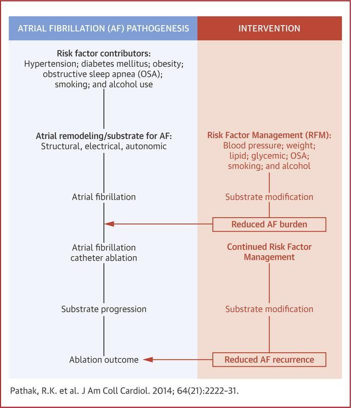 028 Figure Legend: Impact of Risk Factor and Weight Management on AF Ablation Outcomes The schematic demonstrates the natural progression of the