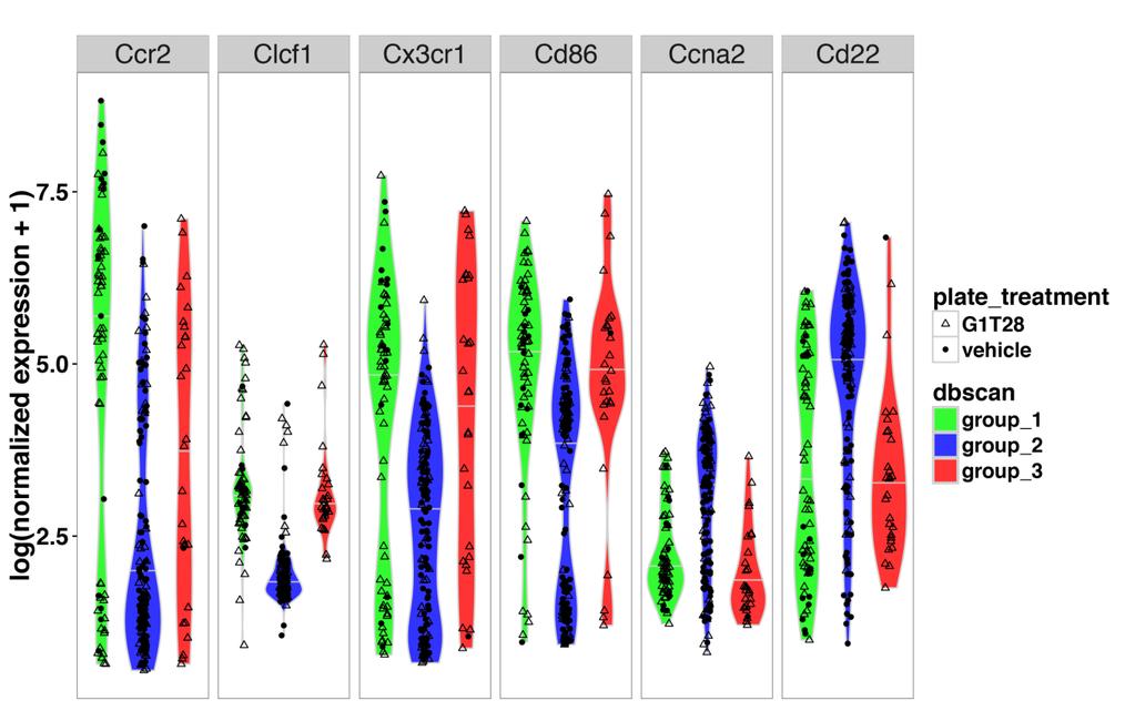 A group_1 group_2 group_3 B 1 7 count dbscan clusters G1 G2M S 2 G1T28 vehicle G1T28 vehicle G1T28 vehicle plate_treatment C DMSO