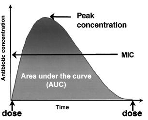 Concentration-dependent killing Αμινογλυκοσίδες Κινολόνες Αζιθρoμυκίνη-Κλάριθρoμυκίνη 24hAUC/MIC 25-30 24hAUC/MIC 100-125 Peak/MIC 10-12 AUC/MIC and peak/mic ratios -correlation of serum