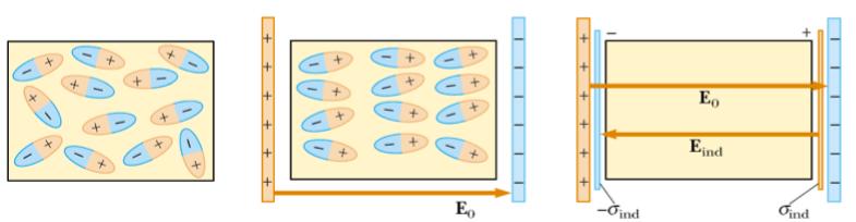 E0=0, dipolne molekule nasumično orijentirane E0 0, dipolne