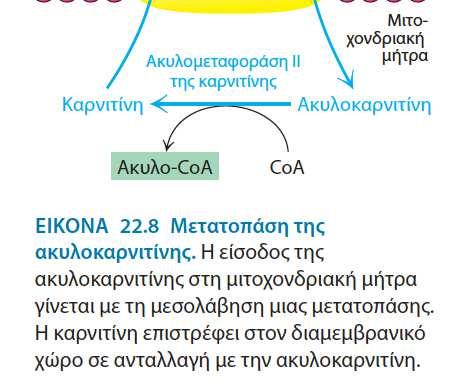 είδωση Λ.Ο.