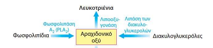 22.5 μεμβρανοσύνδετα ένζυμα δημιουργούν ακόρεστα Λ.Ο.