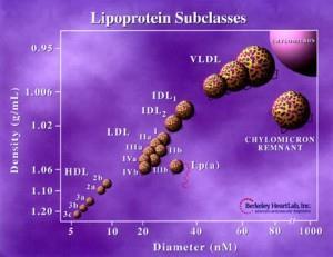 «Υποπληθυσμοί λιποπρωτεϊνικών σωματιδίων LDL» Οι περισσότεροι ερευνητές