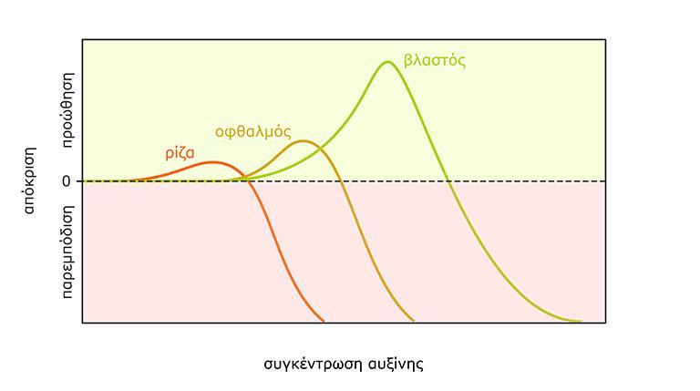 Κάθε ιστός παρουσιάζει διαφορετική ευαισθησία έναντι μιας φυτορμόνης (π.χ. αυξίνης).