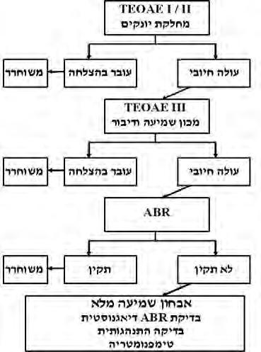 מוקדמת הנה בעלת חשיבות רבה בהפעלת הקורטקס השמיעתי.