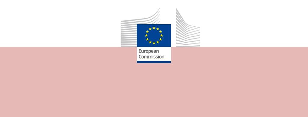 ΘΕΜΑΤΙΚΟ ΕΝΗΜΕΡΩΤΙΚΟ ΔΕΛΤΙΟ ΕΥΡΩΠΑΪΚΟΥ ΕΞΑΜΗΝΟΥ ΔΕΞΙΟΤΗΤΕΣ ΓΙΑ ΤΗΝ ΑΓΟΡΑ ΕΡΓΑΣΙΑΣ 1.