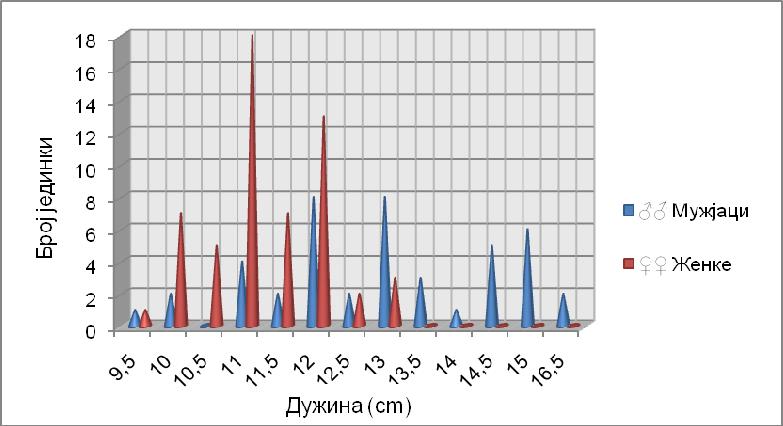 Дениса Жујо Зекић, Сувад Лело, Алдин Бошкаило, Тимур Харачић Слика 4.