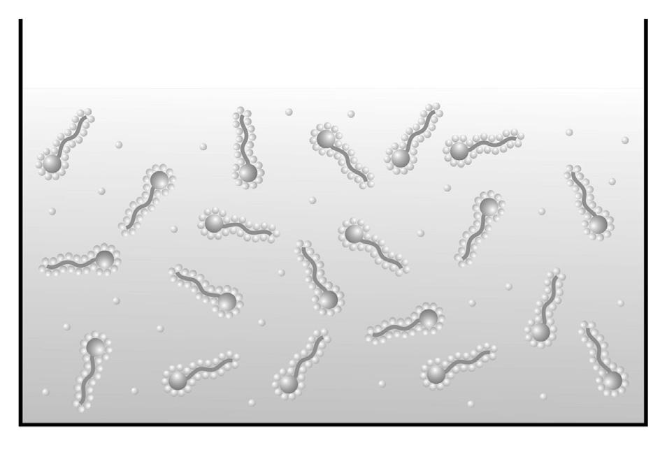 C: Posoda s paglavci, ki se z repki tiščijo skupaj, zunanjost pa obdaja manjše število urejenih molekul vode. Prosto plavajo neurejene molekule vode.