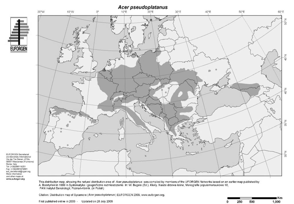 χρησιμοποιείται ευρέως στην αρχιτεκτονική τοπίου και την παρκοτεχνία. Απαντάται σε όλα τα δάση της Ελλάδας, συνήθως σε ρέματα και υγρά εδάφη. Εικόνα 1.