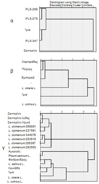 Εικόνα 1. Δενδρογράμματα φυλογενετικών σχέσεων με βάση την ανάλυση σε ιεραρχικές ομάδες (Τετράγωνο ευκλείδειας απόσταση, Ward) κατά τα τρία έτη πειραματισμού (1 - α/ 2- β/ 3 - γ).