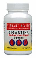 Gigartina: