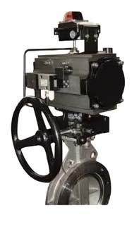 Pneumatic control system