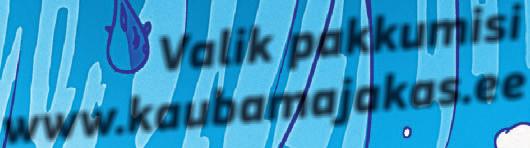 Pühapäeval toome Pärnu jõkke veel 3000 5000 noort lõhet, kui toimub Pärnu jõe lõhedega asustamise tänuüritus.