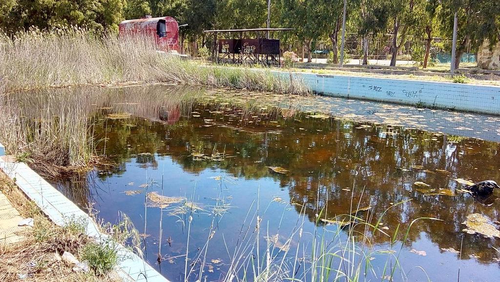 Εικόνα 9. Πισίνα κολυμβητηρίου. Εικόνα 10. Μικρή πισίνα.