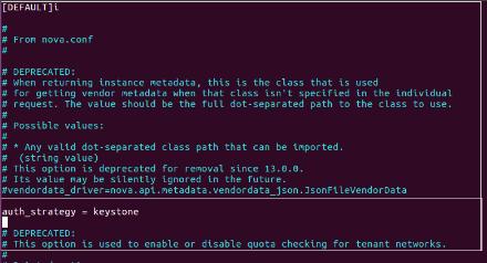 auth_strategy  keystone