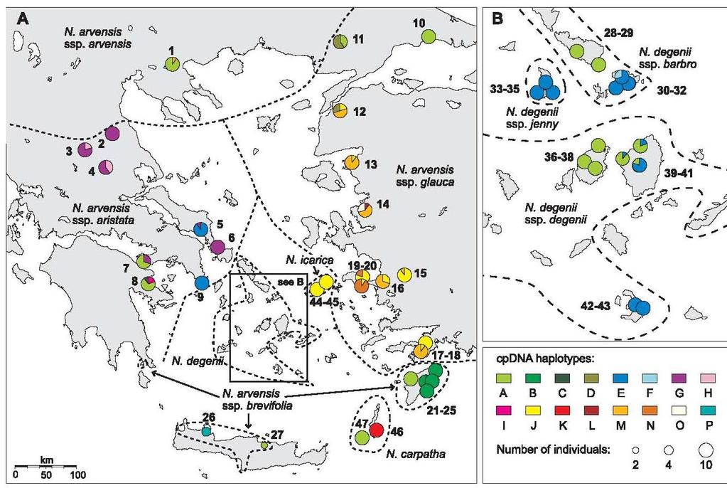 Οι ανεπάρκειες δεδομένων Βittkau & Comes 2005: Mol. Ecol. 14: 4065 4083.