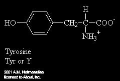 membrane, kot tudi z vodno fazo na obeh straneh membrane.