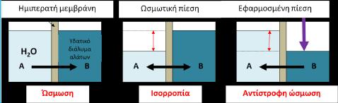 Προχωρθμζνθ επεξεργαςία Η αντύςτροφη ώςμωςη εύναι μια μϋθοδοσ αντιςτροφόσ τησ φυςικοχημικόσ διεργαςύασ που καλεύται ώςμωςη.