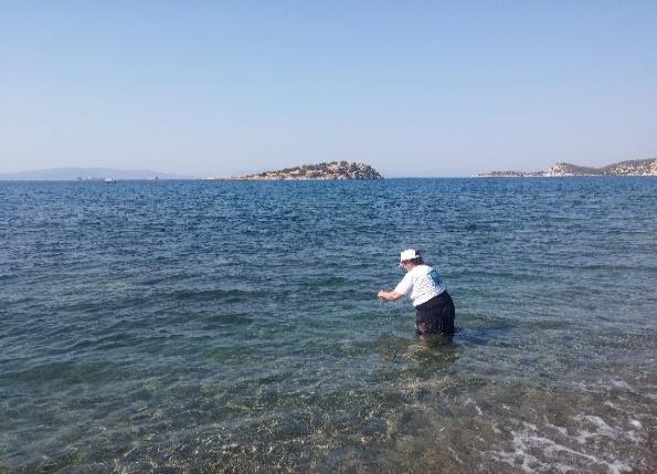 ΧΑΡΤΗΣ