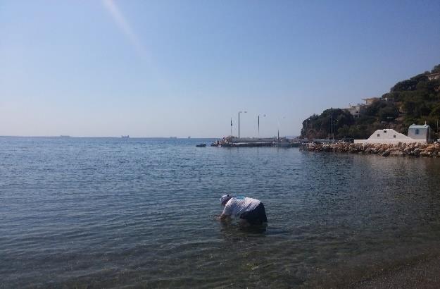 ΜΙΚΡΟΒΙΩΝ